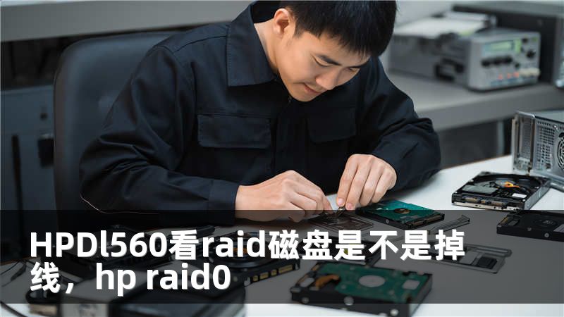 HPDl560看raid磁盘是不是掉线，hp raid0