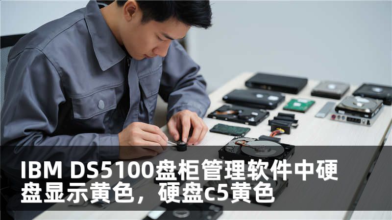 IBM DS5100盘柜管理软件中硬盘显示黄色，硬盘c5黄色
