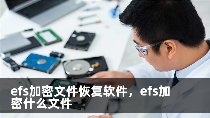 efs加密文件恢复软件，efs加密什么文件
