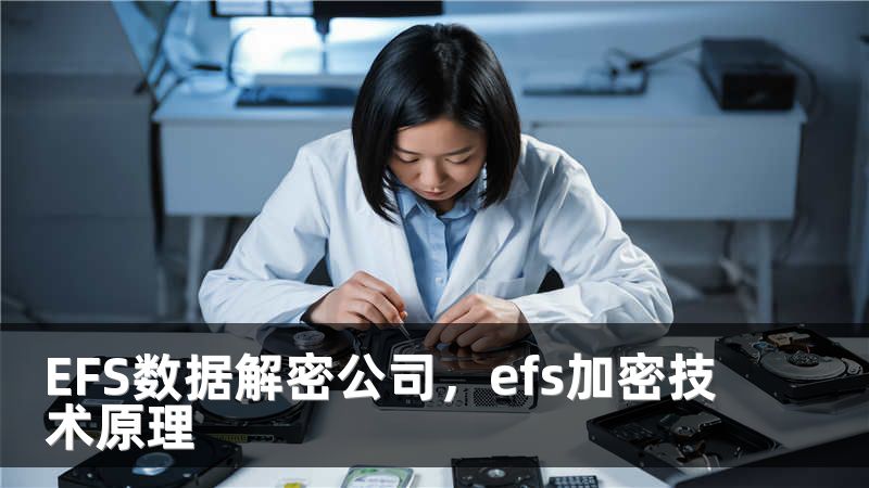 EFS数据解密公司，efs加密技术原理