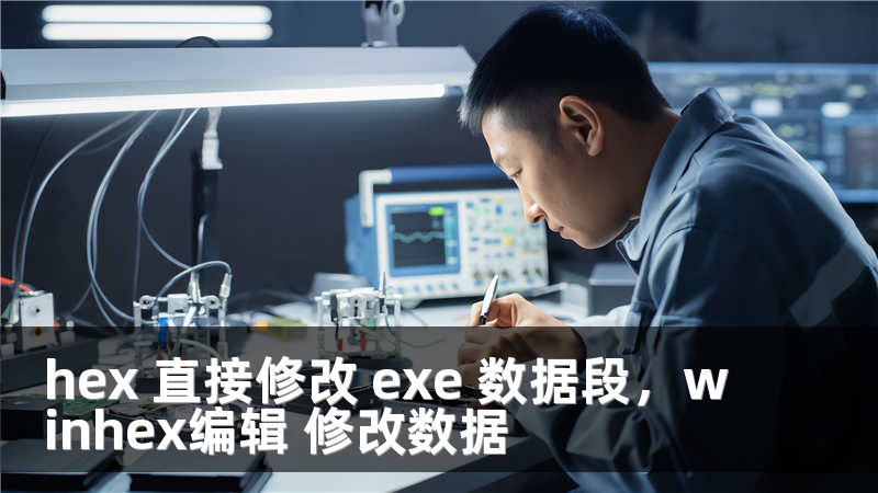 hex 直接修改 exe 数据段，winhex编辑 修改数据