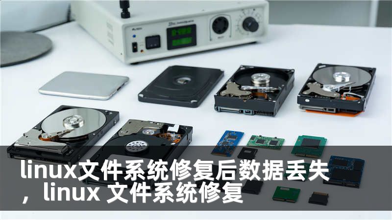 linux文件系统修复后数据丢失，linux 文件系统修复