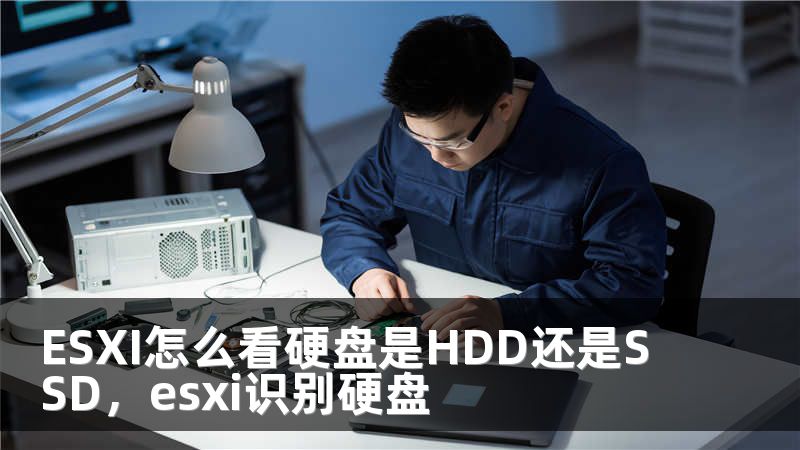 ESXI怎么看硬盘是HDD还是SSD，esxi识别硬盘