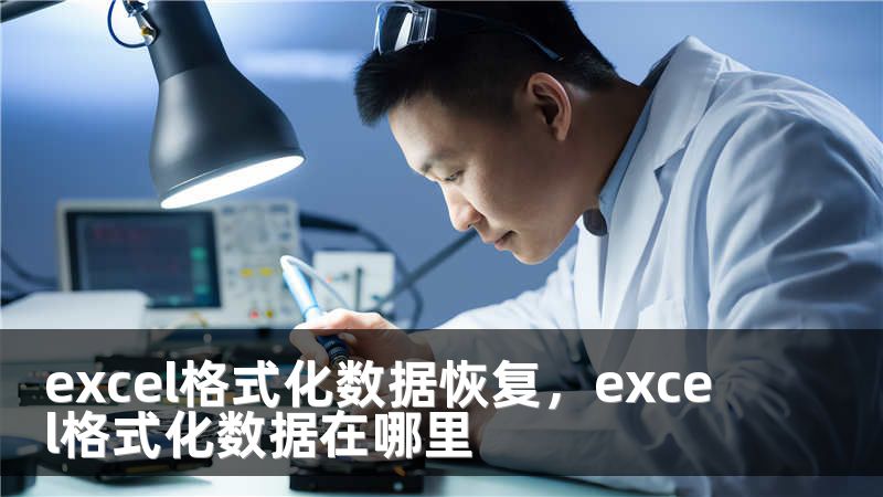 excel格式化数据恢复，excel格式化数据在哪里