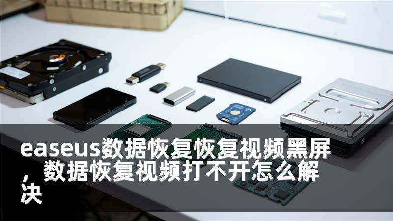 easeus数据恢复恢复视频黑屏，数据恢复视频打不开怎么解决