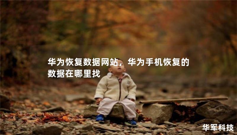华为恢复数据网站，华为手机恢复的数据在哪里找