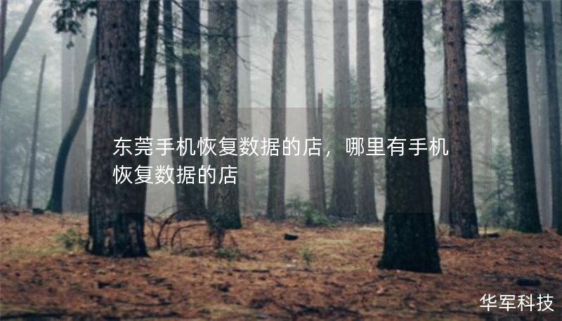 东莞手机恢复数据的店，哪里有手机恢复数据的店