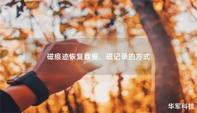 磁痕迹恢复数据，磁记录的方式