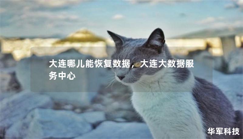 大连哪儿能恢复数据，大连大数据服务中心