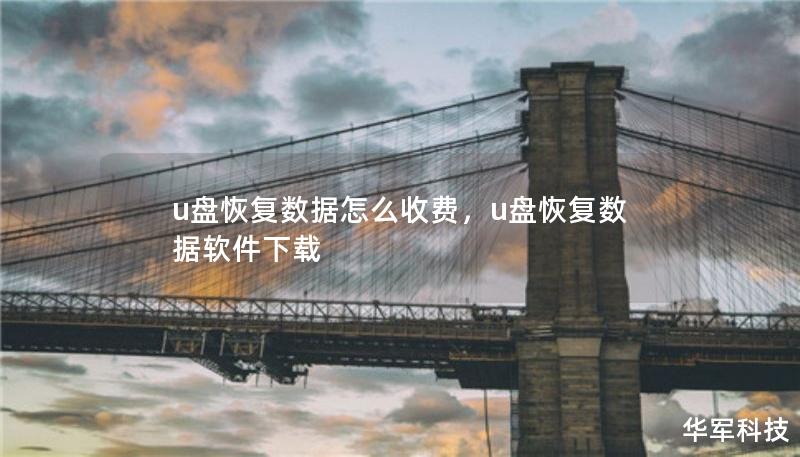 u盘恢复数据怎么收费，u盘恢复数据软件下载
