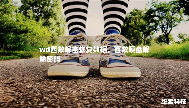 wd西数解密恢复数据，西数硬盘解除密码