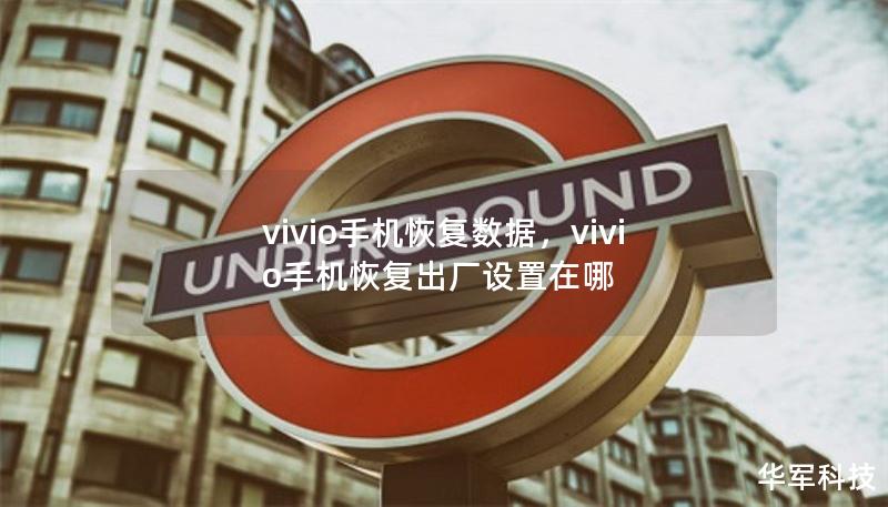 vivio手机恢复数据，vivio手机恢复出厂设置在哪