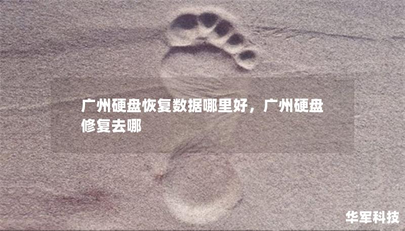 广州硬盘恢复数据哪里好，广州硬盘修复去哪