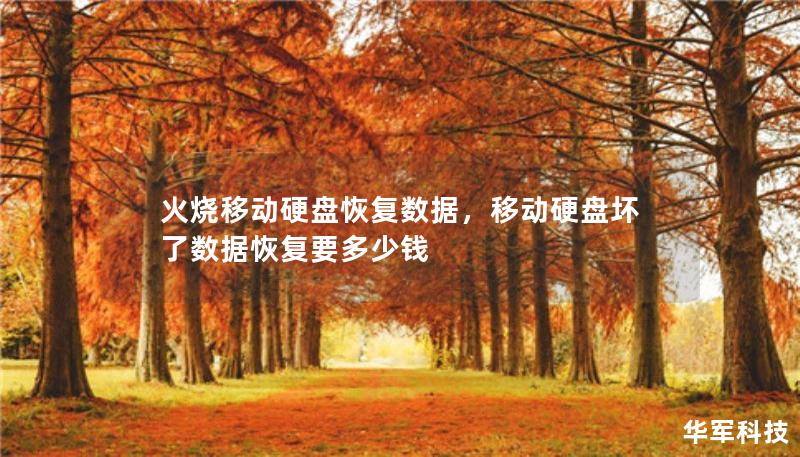 火烧移动硬盘恢复数据，移动硬盘坏了数据恢复要多少钱