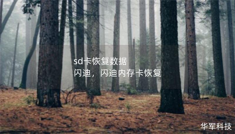 sd卡恢复数据 闪迪，闪迪内存卡恢复