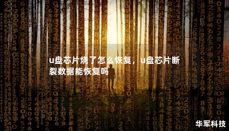 u盘芯片烧了怎么恢复，u盘芯片断裂数据能恢复吗