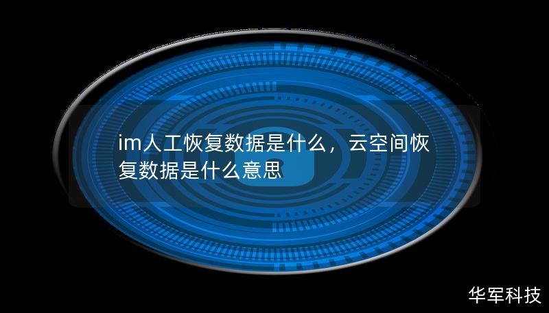 im人工恢复数据是什么，云空间恢复数据是什么意思