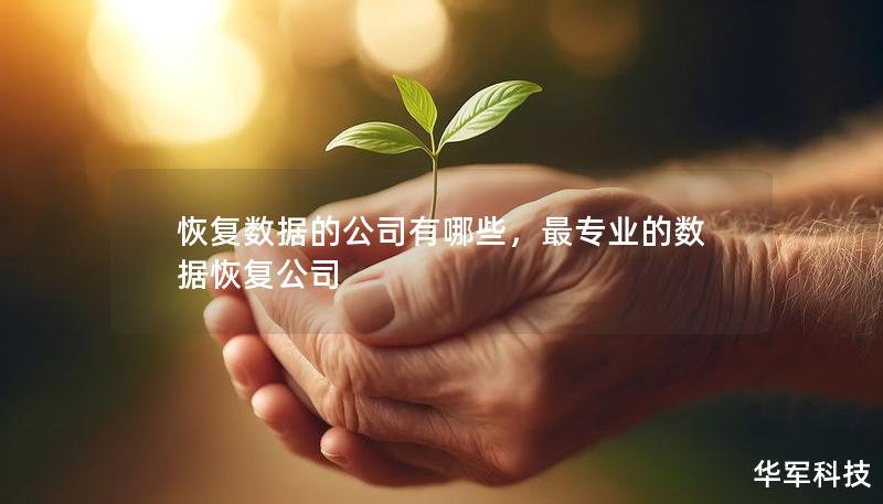 恢复数据的公司有哪些，最专业的数据恢复公司