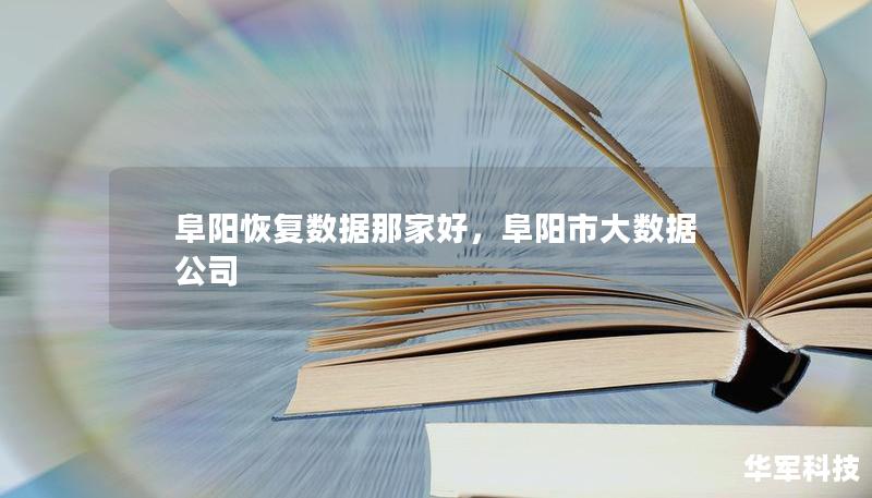 阜阳恢复数据那家好，阜阳市大数据公司