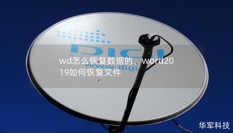 wd怎么恢复数据的，word2019如何恢复文件
