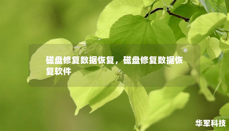 磁盘修复数据恢复，磁盘修复数据恢复软件