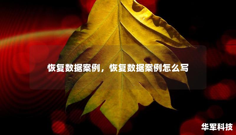 恢复数据案例，恢复数据案例怎么写