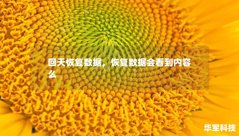 回天恢复数据，恢复数据会看到内容么
