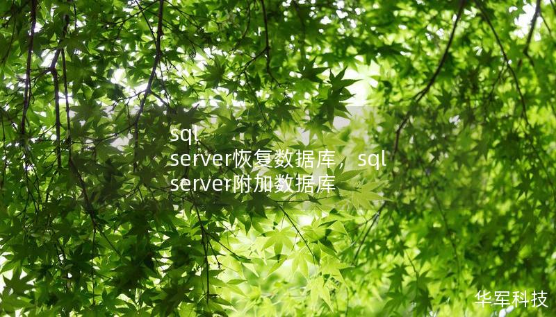 sql server恢复数据库，sql server附加数据库