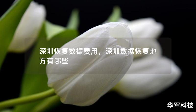 深圳恢复数据费用，深圳数据恢复地方有哪些
