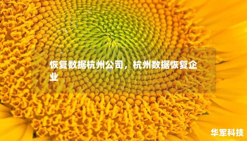 恢复数据杭州公司，杭州数据恢复企业