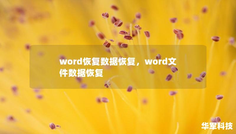 word恢复数据恢复，word文件数据恢复
