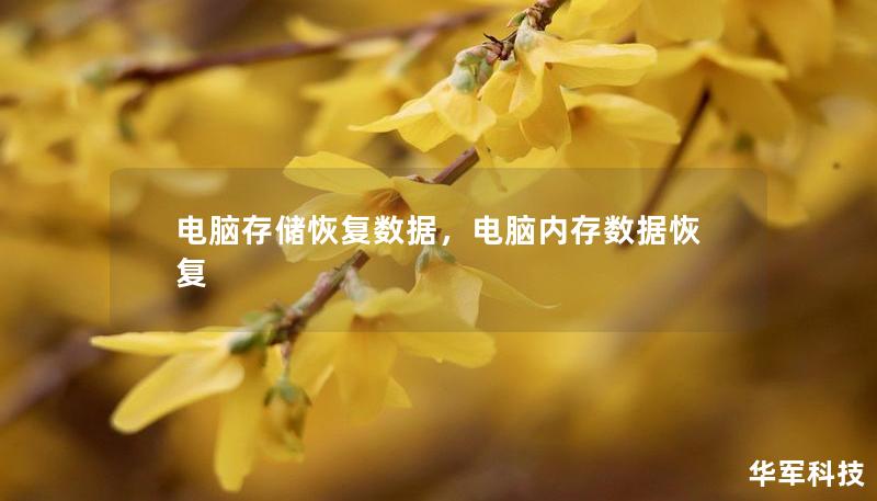 电脑存储恢复数据，电脑内存数据恢复