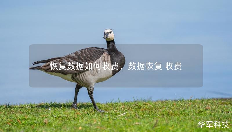 恢复数据如何收费，数据恢复 收费