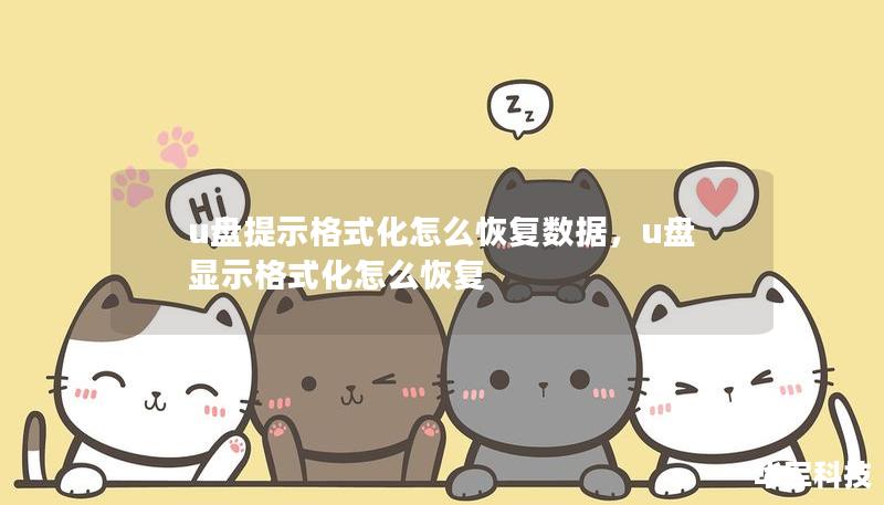 u盘提示格式化怎么恢复数据，u盘显示格式化怎么恢复