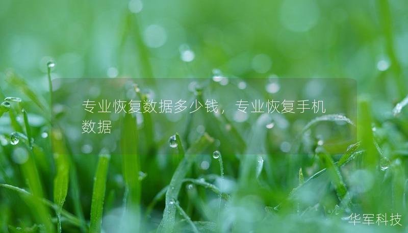 专业恢复数据多少钱，专业恢复手机数据