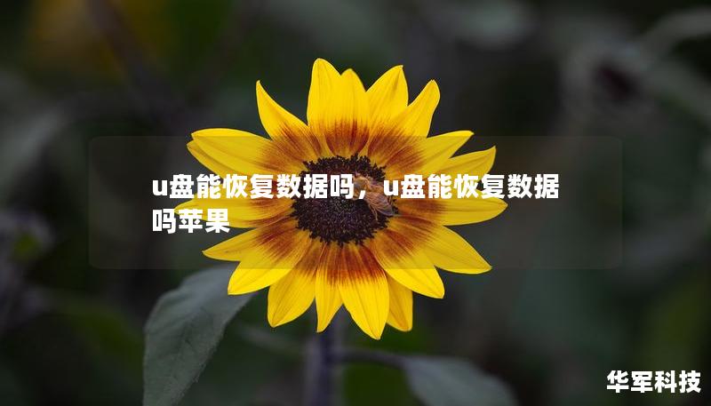 u盘能恢复数据吗，u盘能恢复数据吗苹果