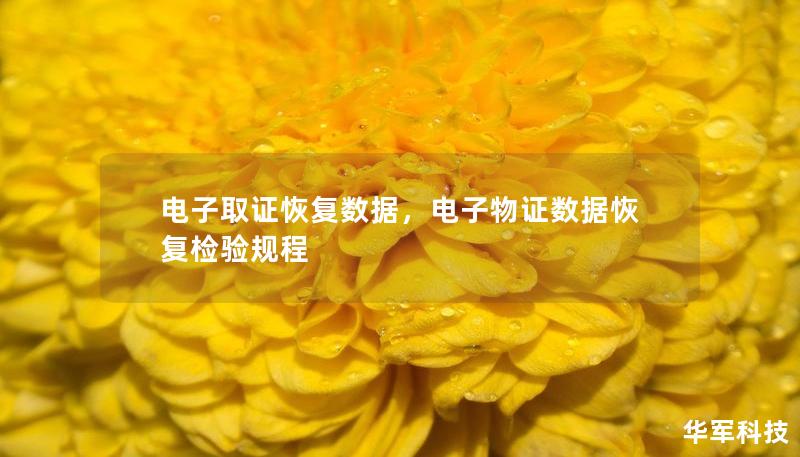 电子取证恢复数据，电子物证数据恢复检验规程