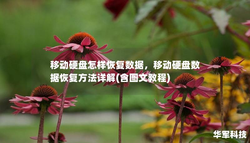 移动硬盘怎样恢复数据，移动硬盘数据恢复方法详解(含图文教程)