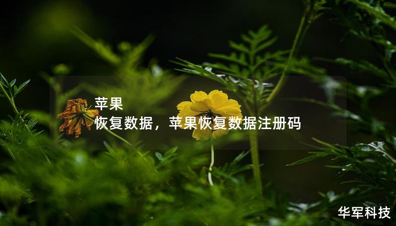 苹果 恢复数据，苹果恢复数据注册码