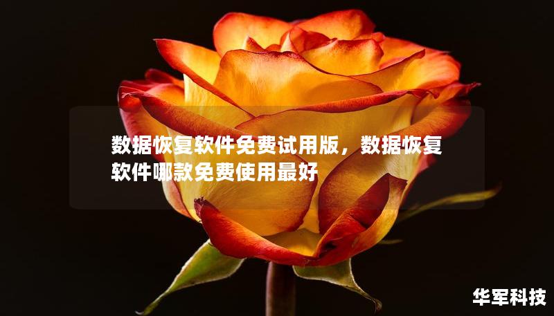 数据恢复软件免费试用版，数据恢复软件哪款免费使用最好