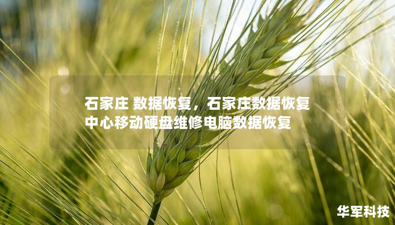 石家庄 数据恢复，石家庄数据恢复中心移动硬盘维修电脑数据恢复