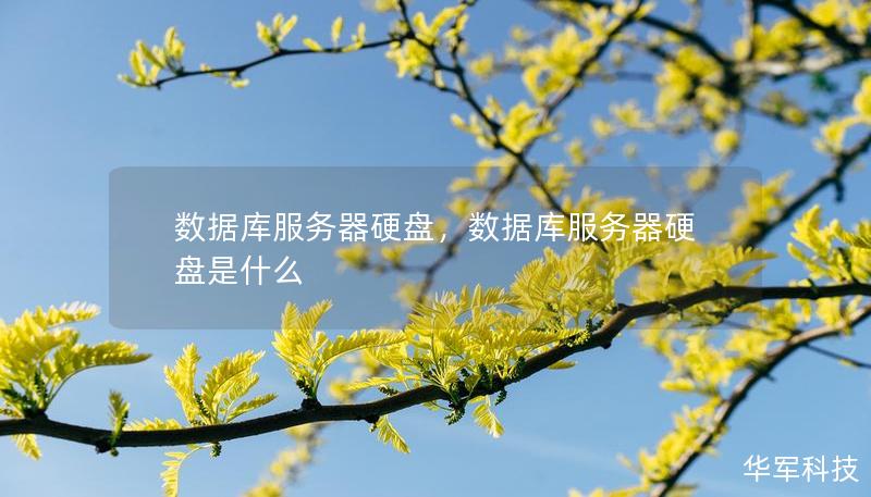 数据库服务器硬盘，数据库服务器硬盘是什么