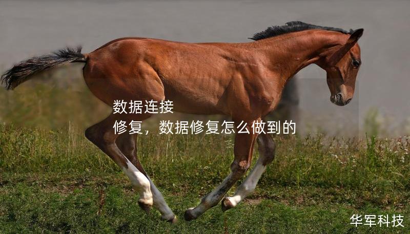数据连接 修复，数据修复怎么做到的