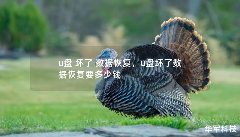 u盘 坏了 数据恢复，u盘坏了数据恢复要多少钱