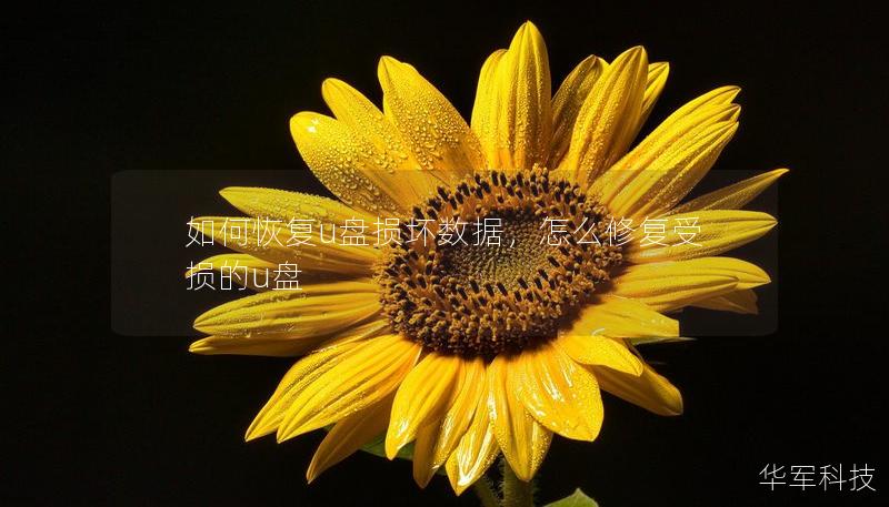 如何恢复u盘损坏数据，怎么修复受损的u盘