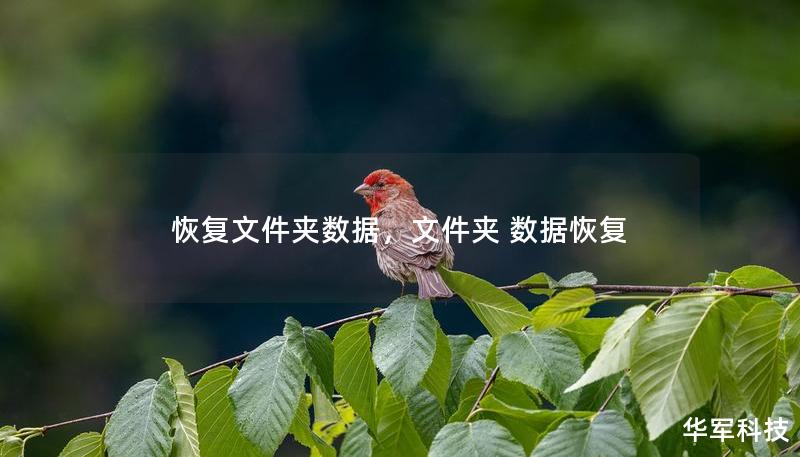 恢复文件夹数据，文件夹 数据恢复