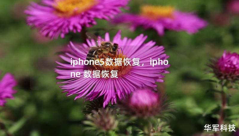 iphone5数据恢复，iphone 数据恢复