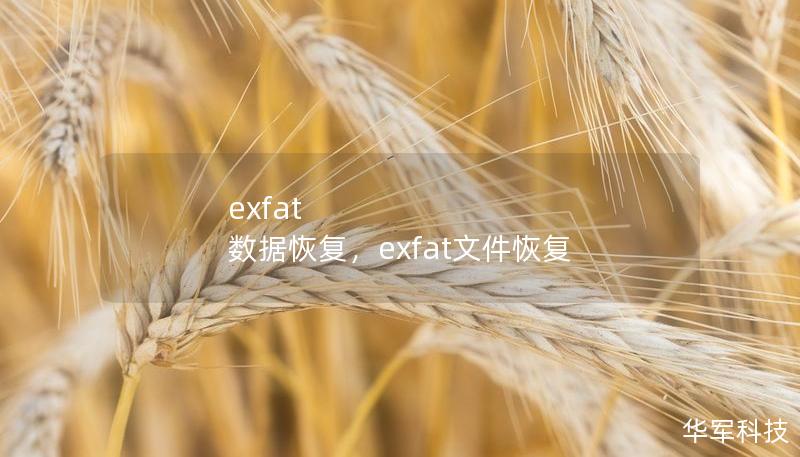 exfat  数据恢复，exfat文件恢复