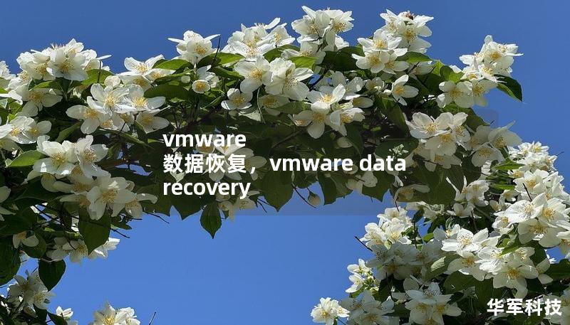 vmware 数据恢复，vmware data recovery