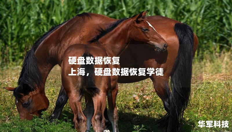 硬盘数据恢复 上海，硬盘数据恢复学徒